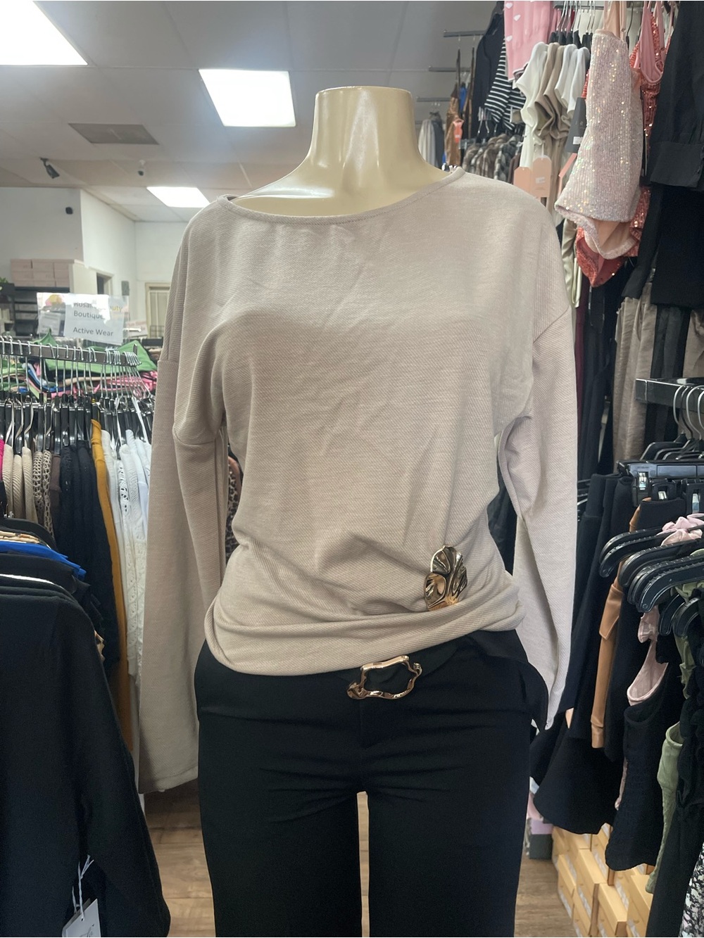 Neutral Beige Long-Sleeve Boatneck Top with Decorative Accent